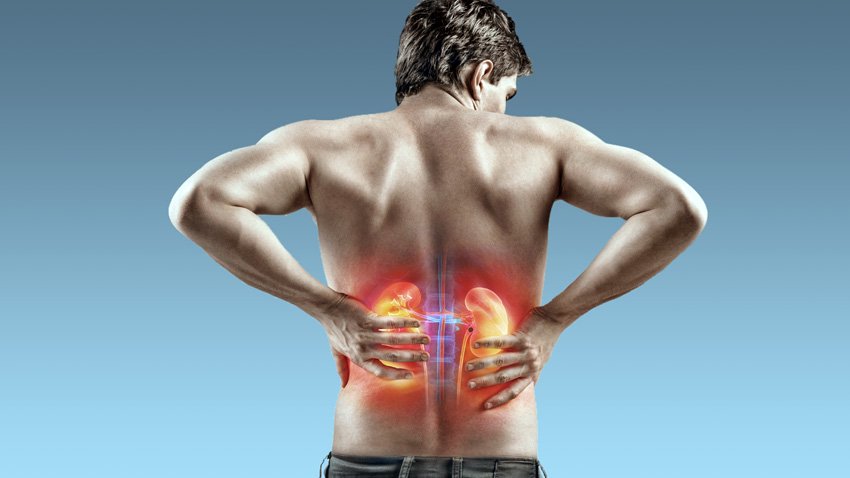 Causas de problemas renais