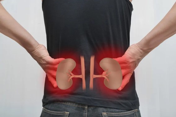 Sintomas de insuficiência renal